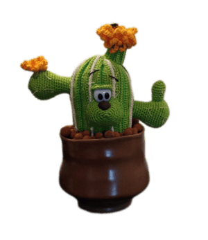 Haakpatroon Carlos Cactus